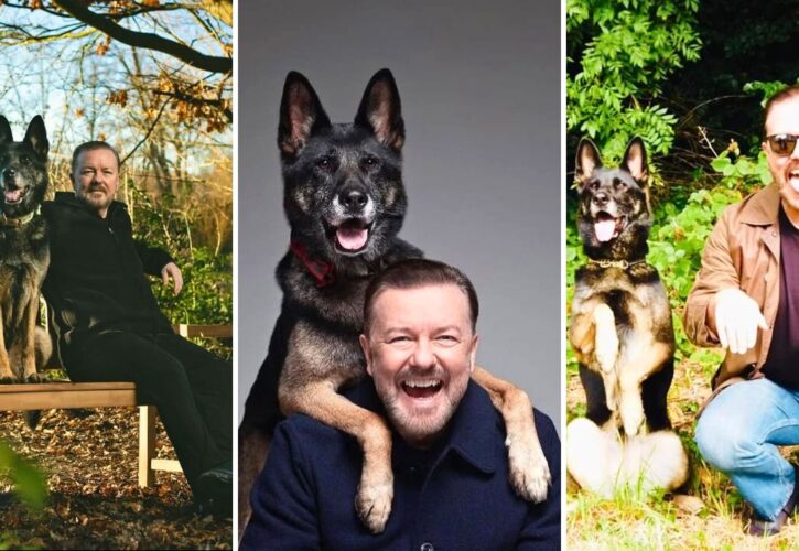 Ricky Gervais Shares Memorial for His 'After Life' Canine Costar, Antilly the Wonder Hound