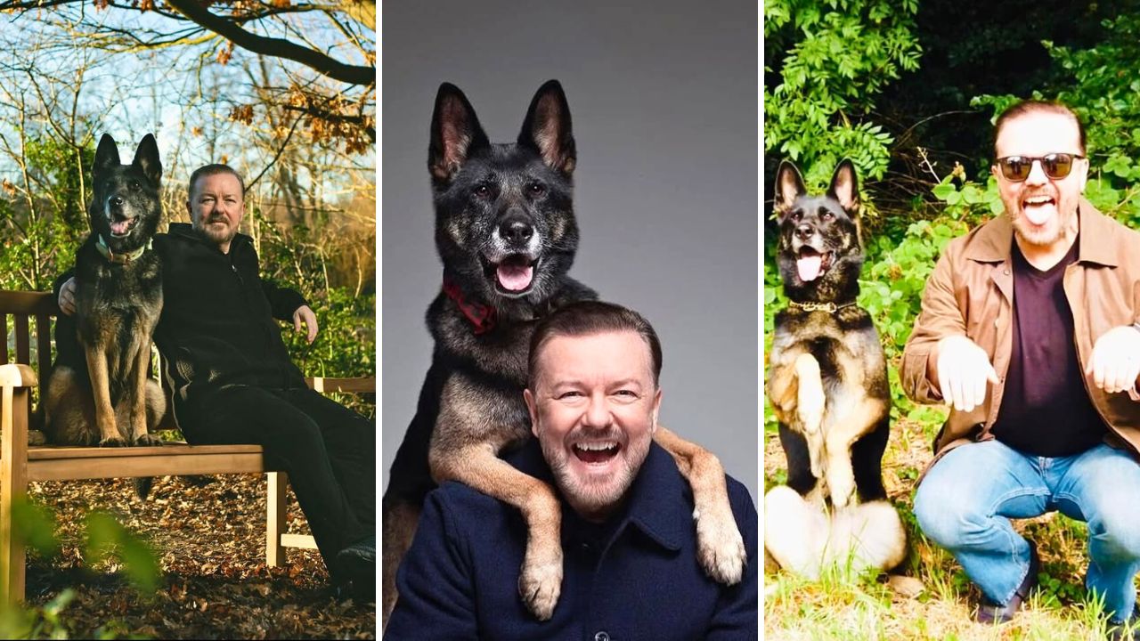 Ricky Gervais Shares Memorial for His Canine Costar Antilly the Wonder Hound