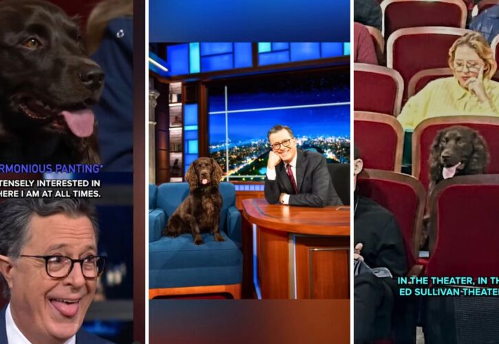 Stephen Colbert Takes Us Behind the Scenes with His Doggy Rehearsal Buddy Benny