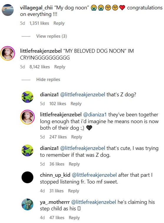 Tom Holland Instagram comments about Zendaya dog Noon