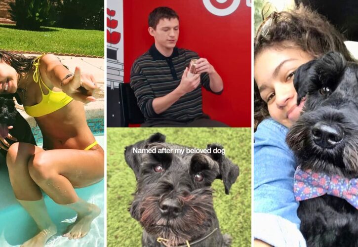 Tom Holland Named His Non-alcoholic Beer After Zendaya’s Dog Noon