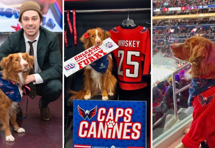 Whiskey Toller Shares the Furry Fun of ‘Caps Canines’ Night with the Washington Capitals