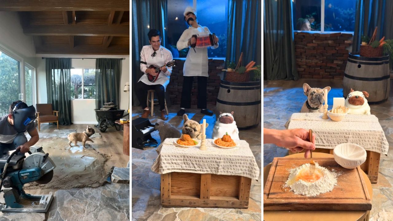 Aarons Animals Builds an Authentic Italian Restaurant for His French Bulldog