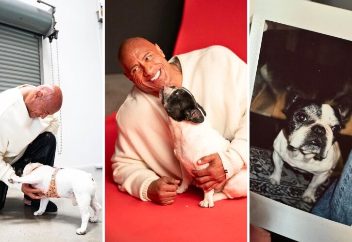 Dwayne Johnson Shares His French Bulldog Hobbs Has Passed Away ‘Grateful for Every Ounce of Pure Love'