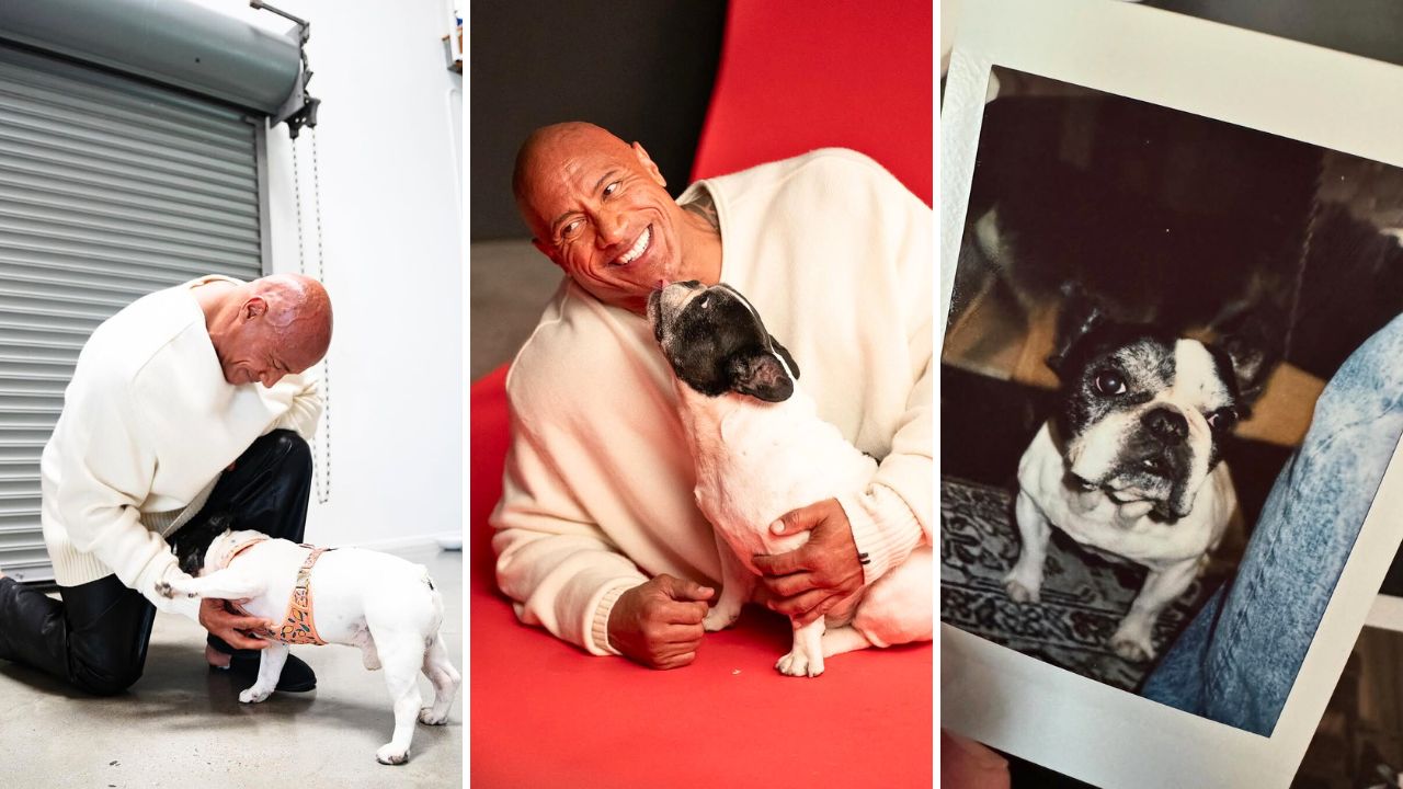 Dwayne Johnson Shares His French Bulldog Hobbs Has Passed Away