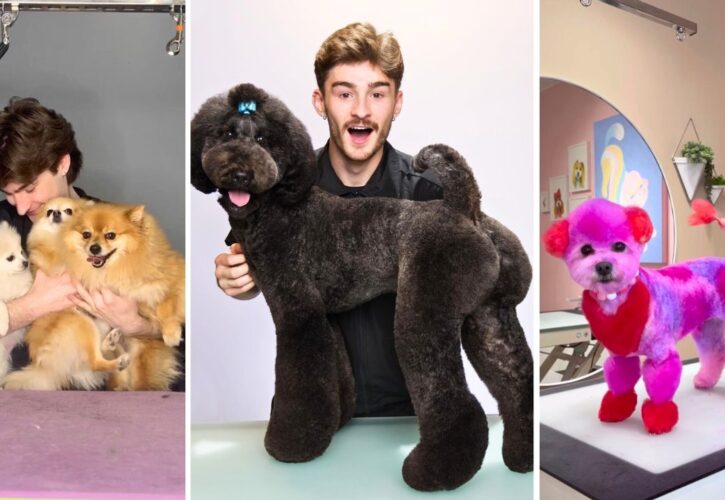 Interview with Logan Rago – Creative Dog Groomer and TikTok Star