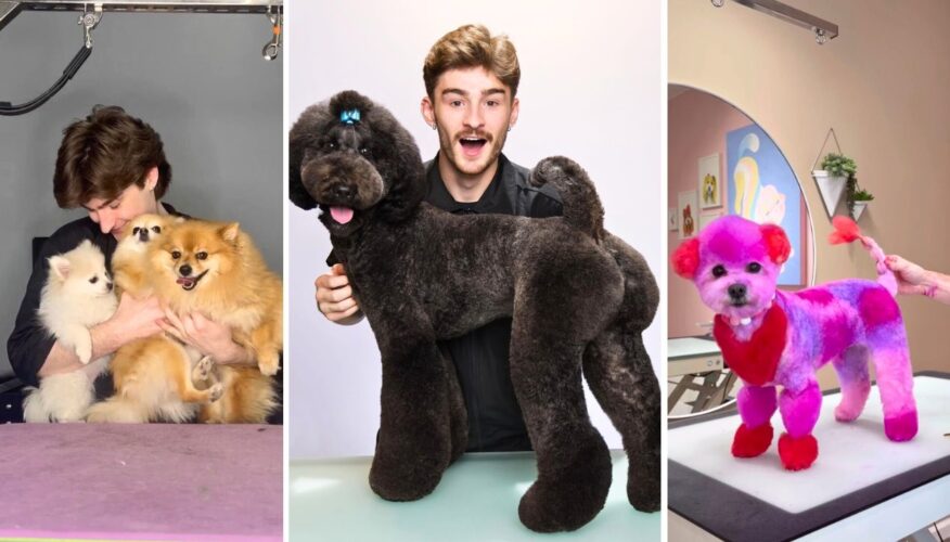 Interview with Logan Rago - Creative Dog Groomer and TikTok Star