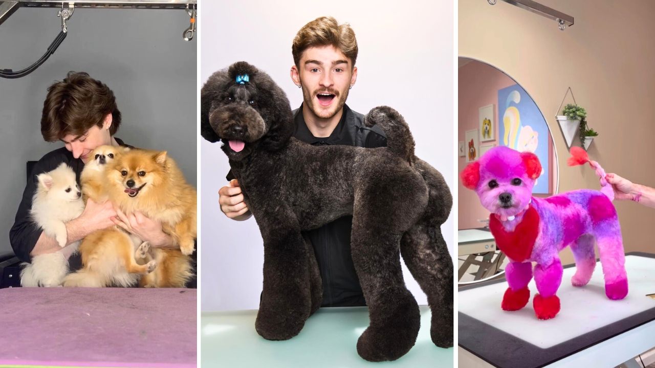 Interview with Logan Rago - Creative Dog Groomer and TikTok Star