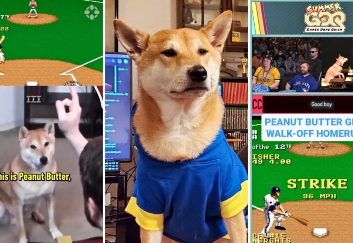 Meet Peanut Butter the Shiba Inu – The First Dog to Set a Speedrun Gaming Record