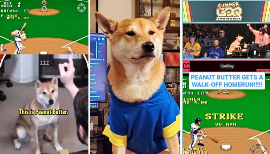 Meet Peanut Butter the Shiba Inu – The First Dog to Set a Speedrun Gaming Record