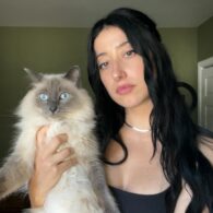 Taylor Ortega's pet Cat