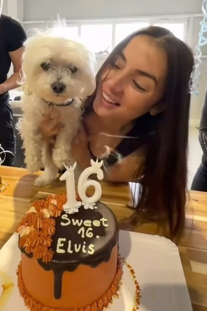 Ana De Armas dog Elvis 16th birthday cake