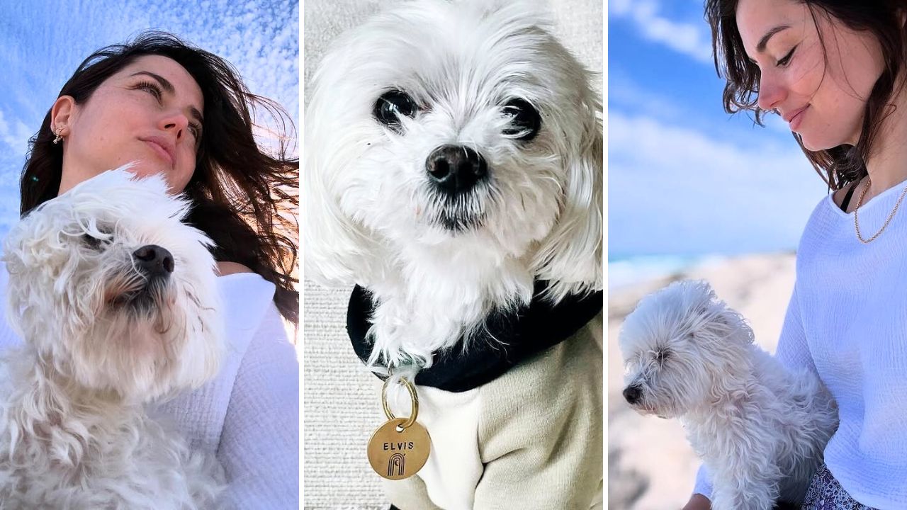 Ana de Armas Celebrates 17th Birthday of Her Senior Rescue Dog Elvis