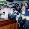 Legendary Cow The Story of Big Bertha, the Whiskey-Drinking, Parade-Leading ...