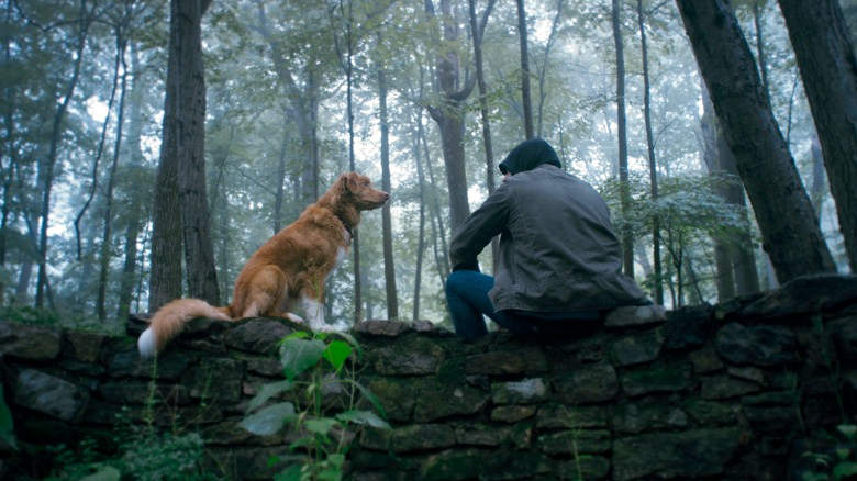 Good Boy movie by Ben Lemberg and his dog Indy