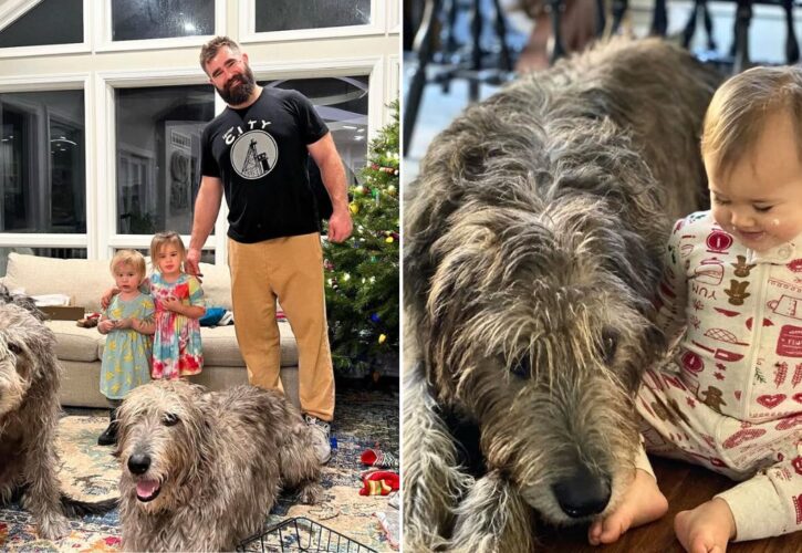 Jason and Kylie Kelce Mourn the Death of Baloo, the Second Dog They Lost in a Year