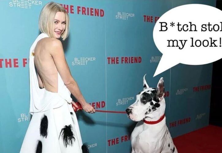 Naomi Watts and Her Canine Costar Bing Wore Matching Outfits to the Premiere of ‘The Friend’