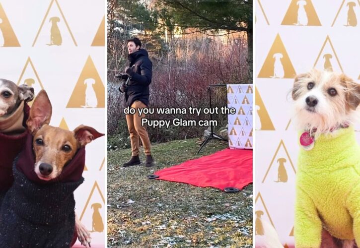 Puppy Glam Cam: Photographer's Slow Motion Video Turns Canines into Red Carpet Celebs