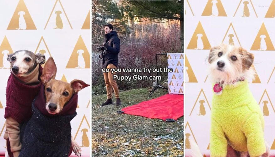 Puppy Glam Cam: Photographer’s Slow Motion Video Turns Canines into Red Carpet Celebs