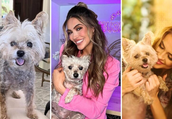 ‘Selling Sunset’ Star Chrishell Stause Mourns Loss of Her Rescue Pup Gracie