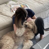 Betsy Brandt's pet Golden Doodle