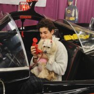David Mazouz's pet Starlit