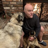 Dean Norris' pet Dogs
