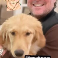 George Eads' pet Golden Retriever