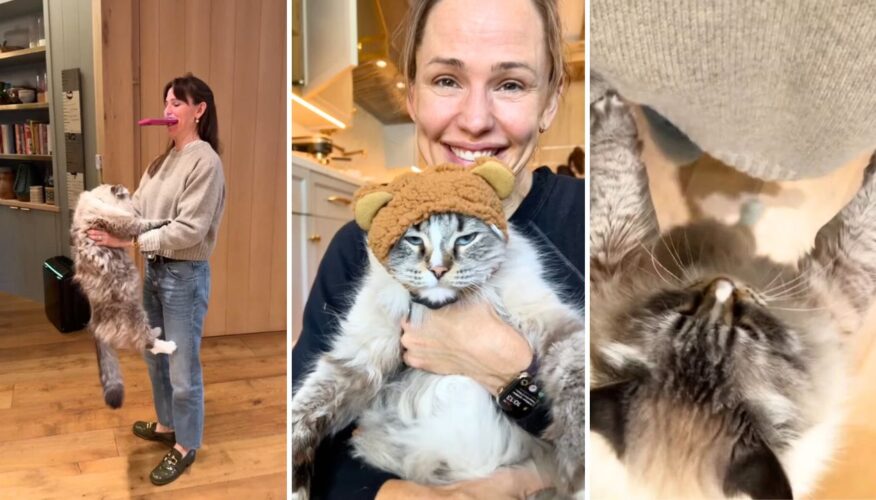 Jennifer Garner Attempts the Viral TikTok Spin Challenge with Her Giant Himalayan Cat
