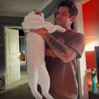Jesse Posey's pet Cats