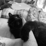 Kelli Berglund's pet Binky