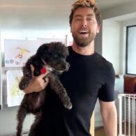 Lance Bass' pet Millie