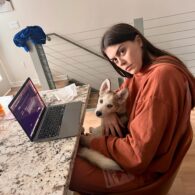 Lindsey Shaw's pet Bear