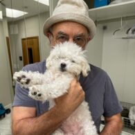 Richard Schiff's pet Dog