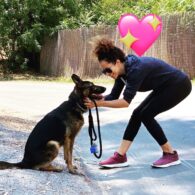 Sherri Saum's pet Frida