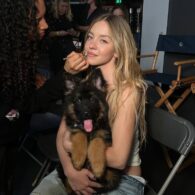 Sydney Sweeney's pet Sully Bear
