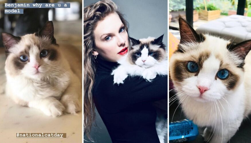 Taylor Swift’s Cat, Benjamin Button, Named People’s ‘Most Beautiful Celebrity Pet’