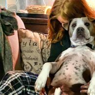 Teri Polo's pet Doodlebug Jr