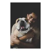 Alex Tarrant's pet Bulldog