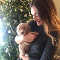 Amalia Williamson's pet Dog