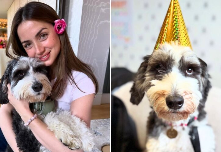 Ana de Armas Celebrates Her Rescue Dog’s 5th Birthday with a Photoshoot