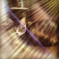 Andy Bean's pet Kathy