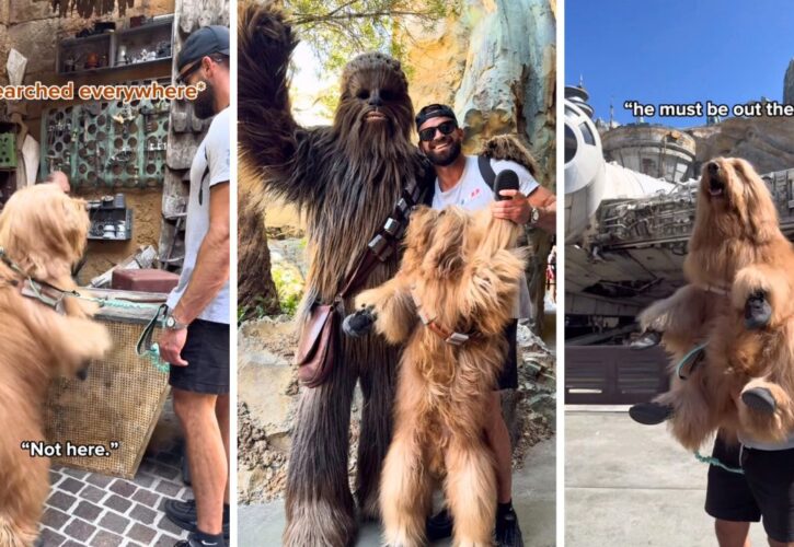 Brodie That Dood Goes to Star Wars Land to Finally Meets His Biological Dad