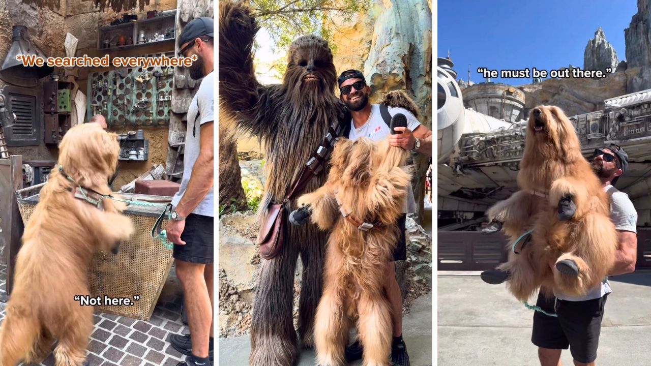 Brodie That Dood Goes to Star Wars Land to Finally Meets His Biological Dad