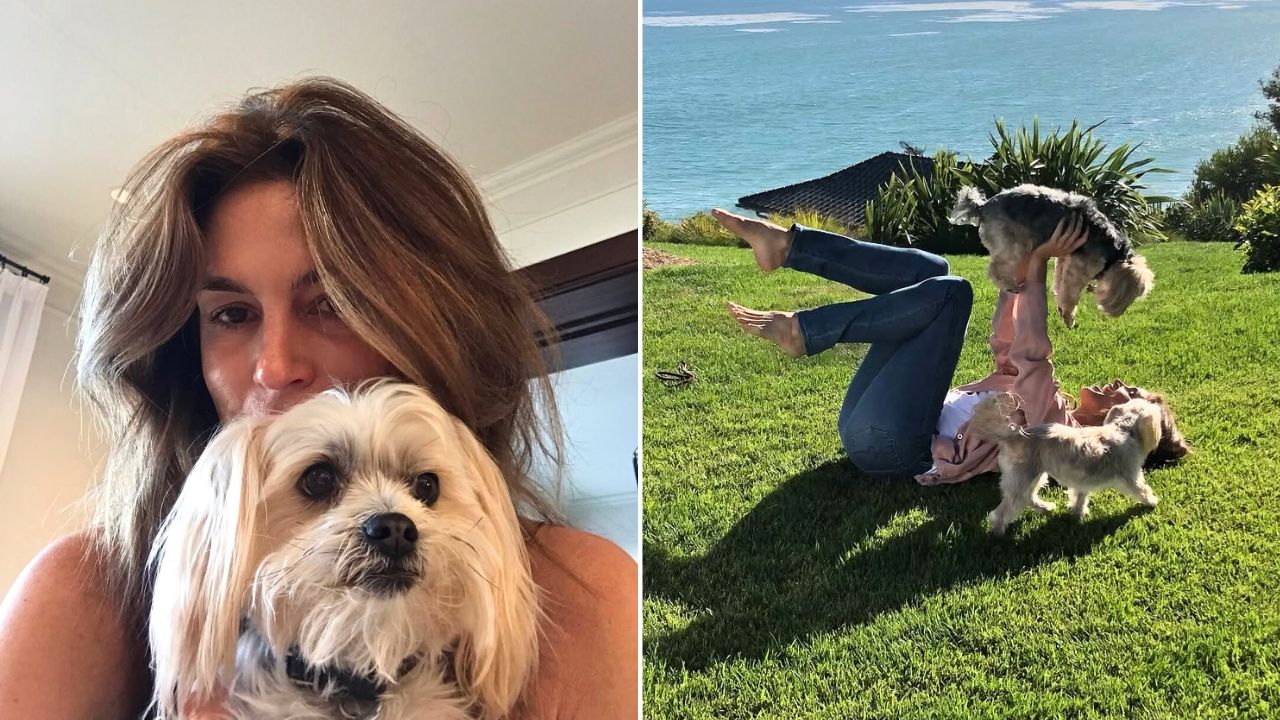 Cindy Crawford Mourns Loss of Dog Widget