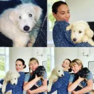 Claire Forlani's pet Rescue Dog