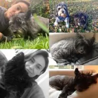 Claire Forlani's pet Ralphie
