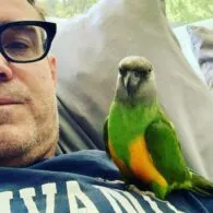Eddie McClintock's pet Senegal Parrot