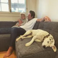 Eric Balfour's pet Rescue Dog