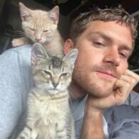 Finn Jones' pet Cats
